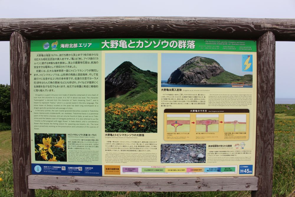 大野亀とトビシマカンゾウ 案内板