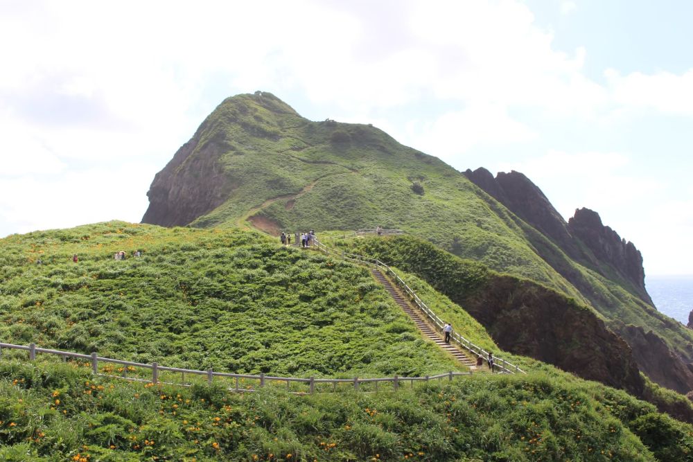 大野亀のトビシマカンゾウと遊歩道