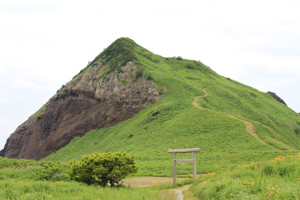 大野亀のトビシマカンゾウと鳥居