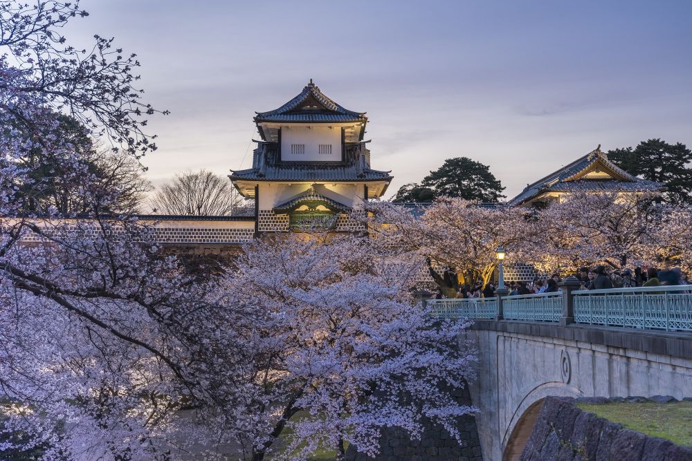 金沢城公園の桜
