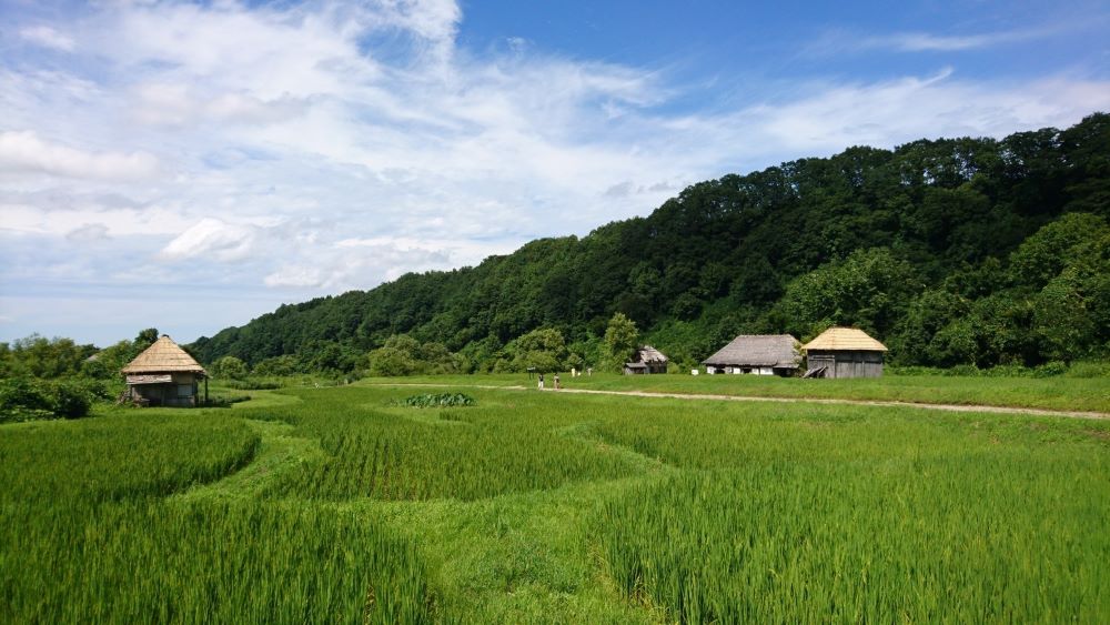 庄内映画村 農村