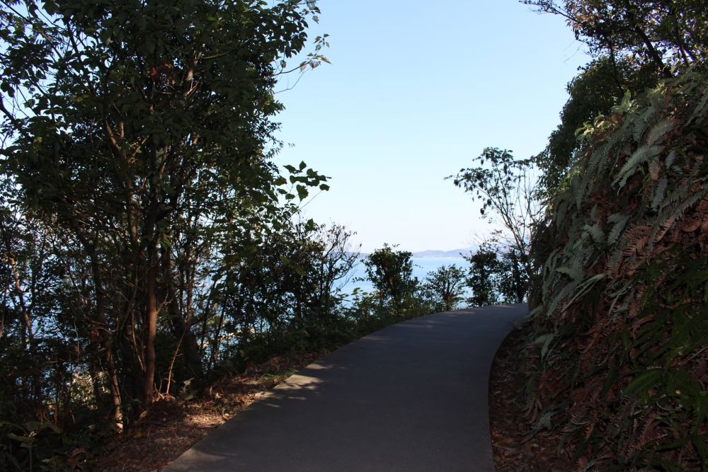 豊島 遊歩道