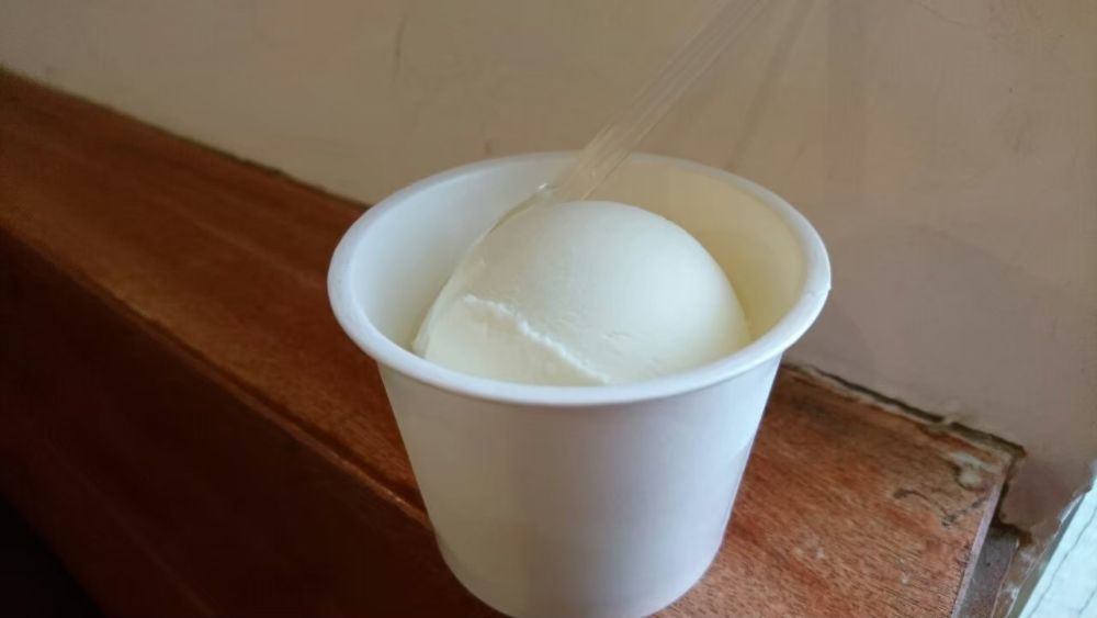 伊豆大島 大島牛乳ジェラート
