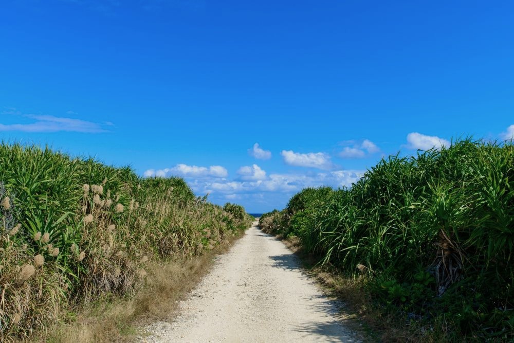 久高島 カベール岬へ続く道