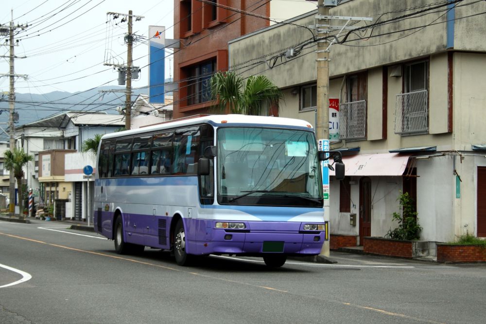 奄美大島 路線バス