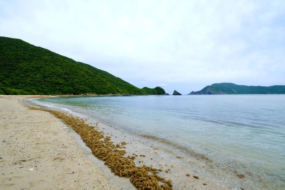 奄美大島 ヤドリ浜