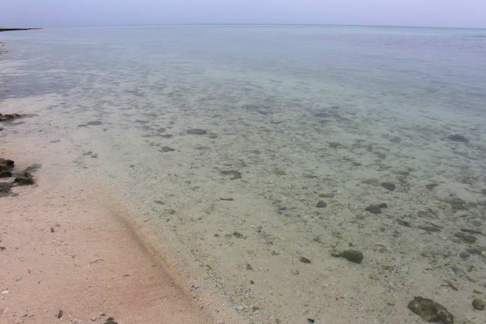 カイジ浜 透明度の高い海