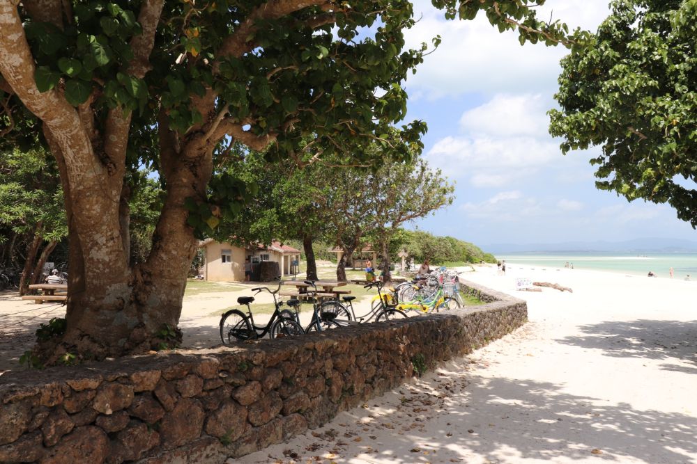 コンドイ浜のレンタサイクル