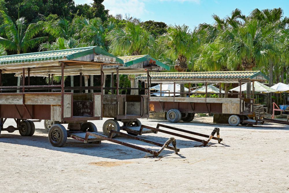 竹富島 水牛車乗り場