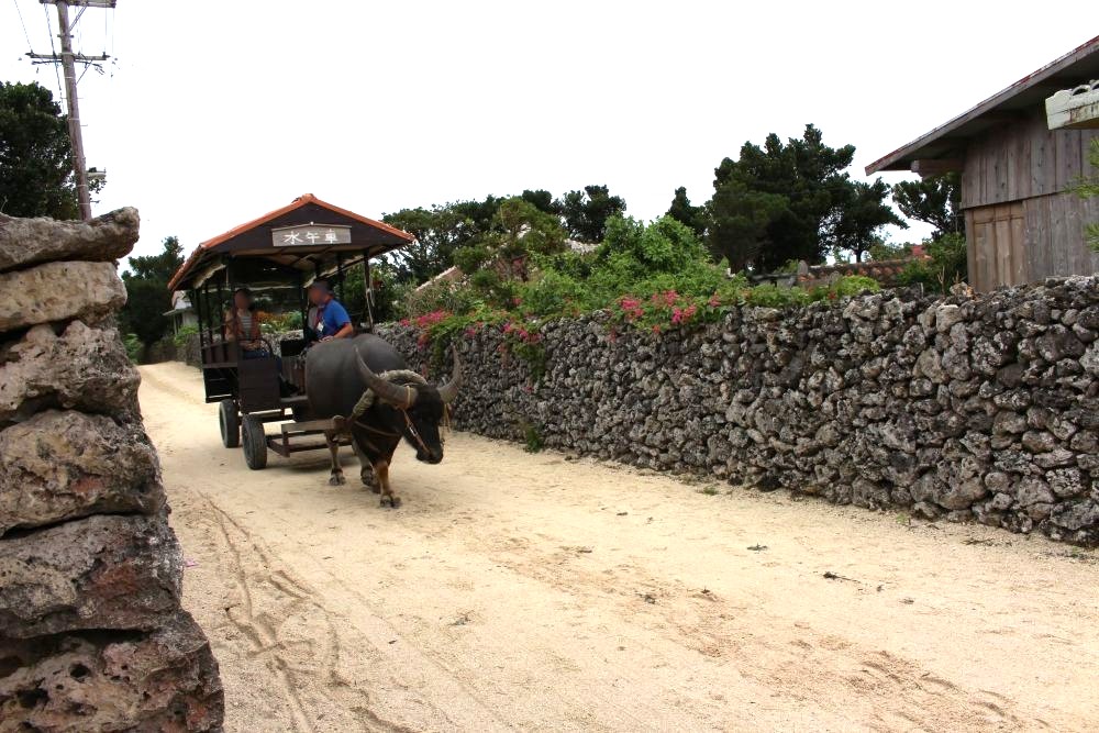 竹富島の水牛車