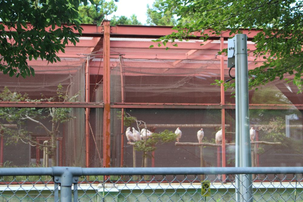 トキの森公園 佐渡トキ保護センター