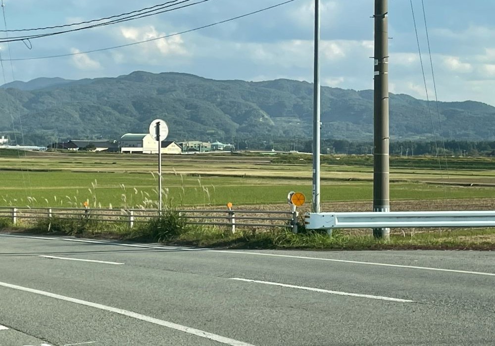 佐渡 トキが舞う田園風景