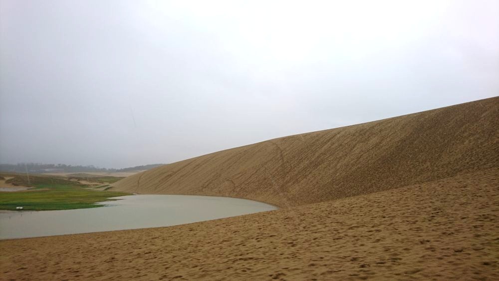 鳥取砂丘「オアシス」