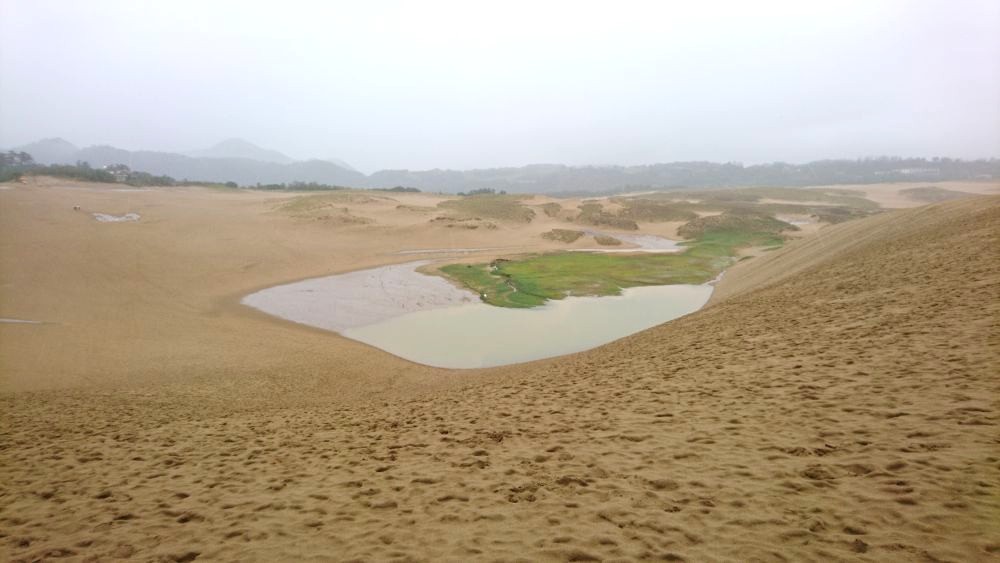 鳥取砂丘「オアシス」