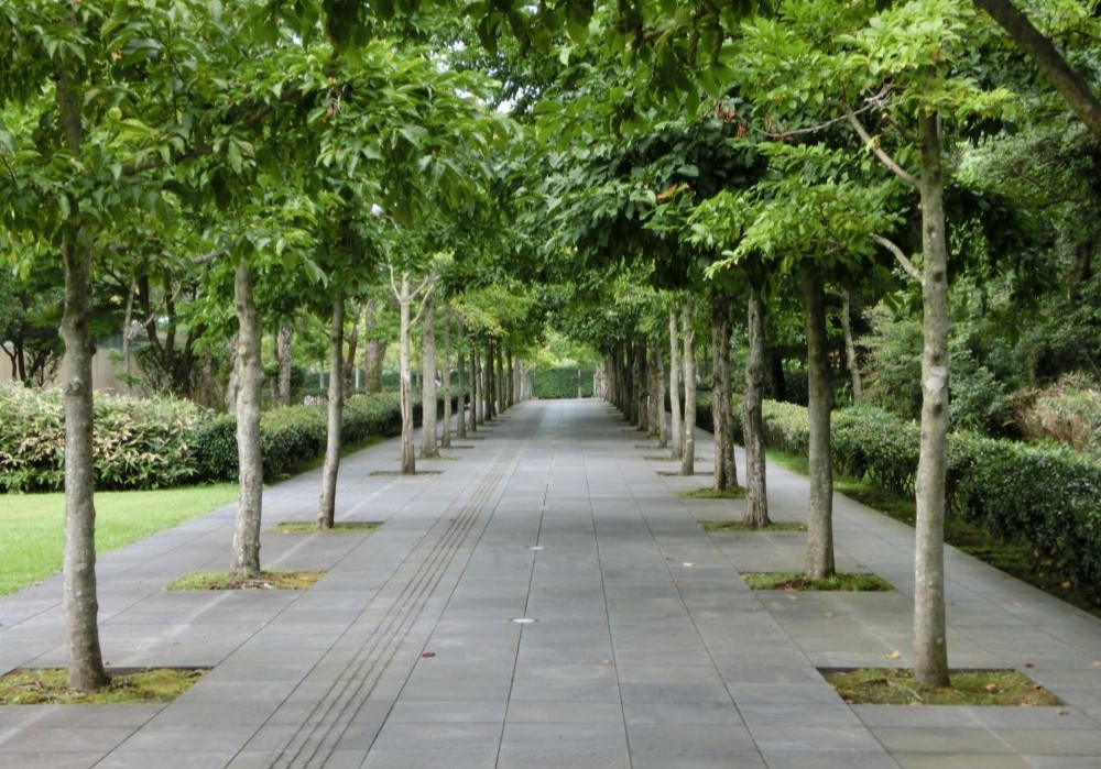 霧島アートの森に続く道