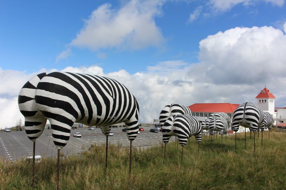 美ヶ原高原美術館『しまうま』