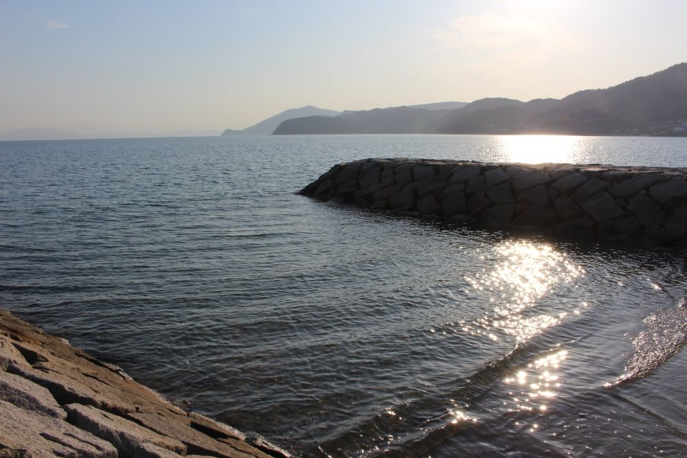 オリーブナビ桟橋からの景色