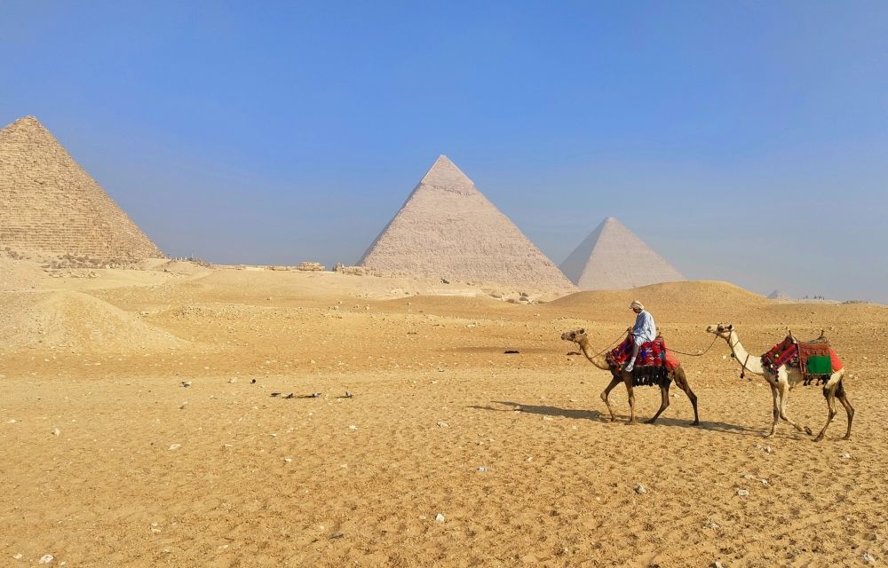 エジプト ピラミッドとラクダ