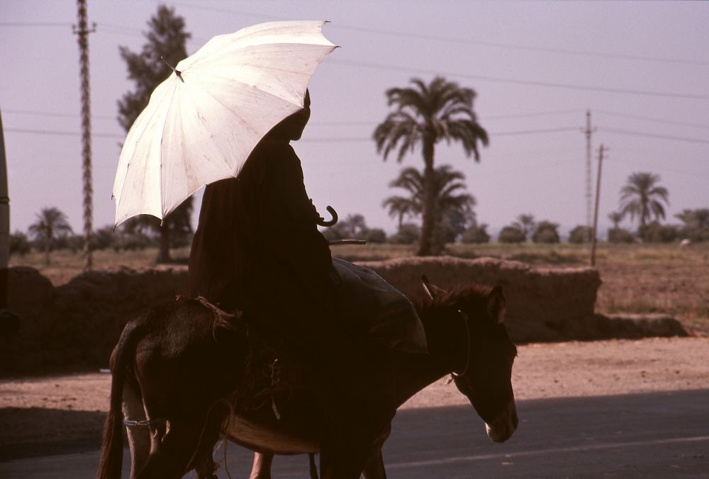 エジプト ロバに乗る日傘の老人