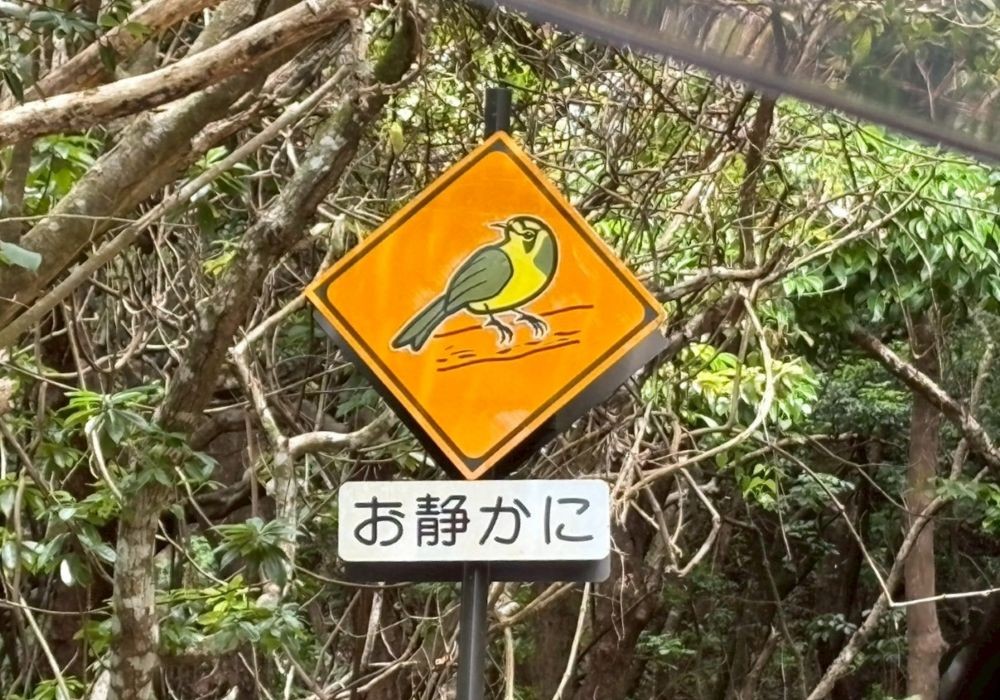 母島 ハハジマメグロの道路標識