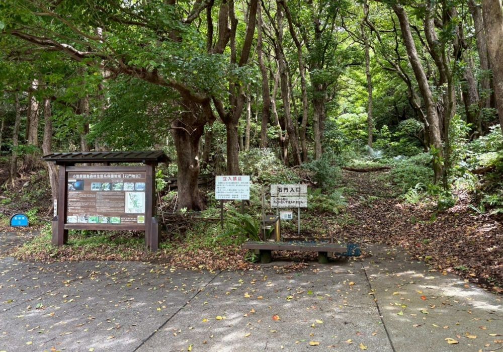 母島 石門の入口