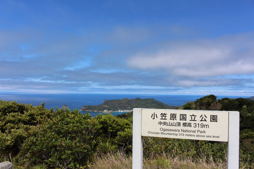 父島 中央山山頂