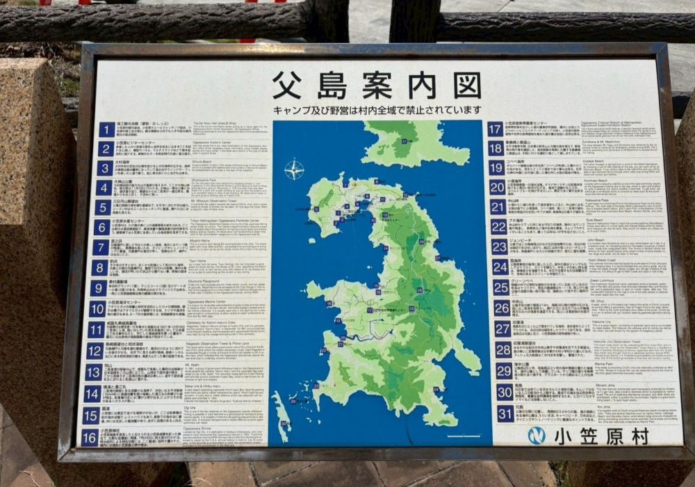 父島 案内図