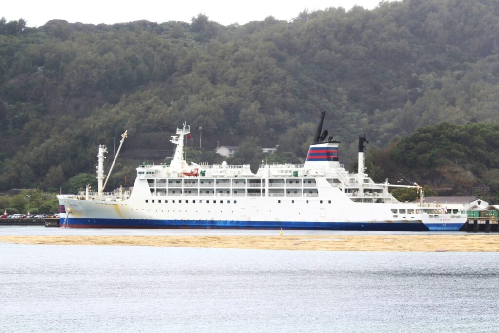 製氷海岸から望むおがさわら丸と枝サンゴの群生