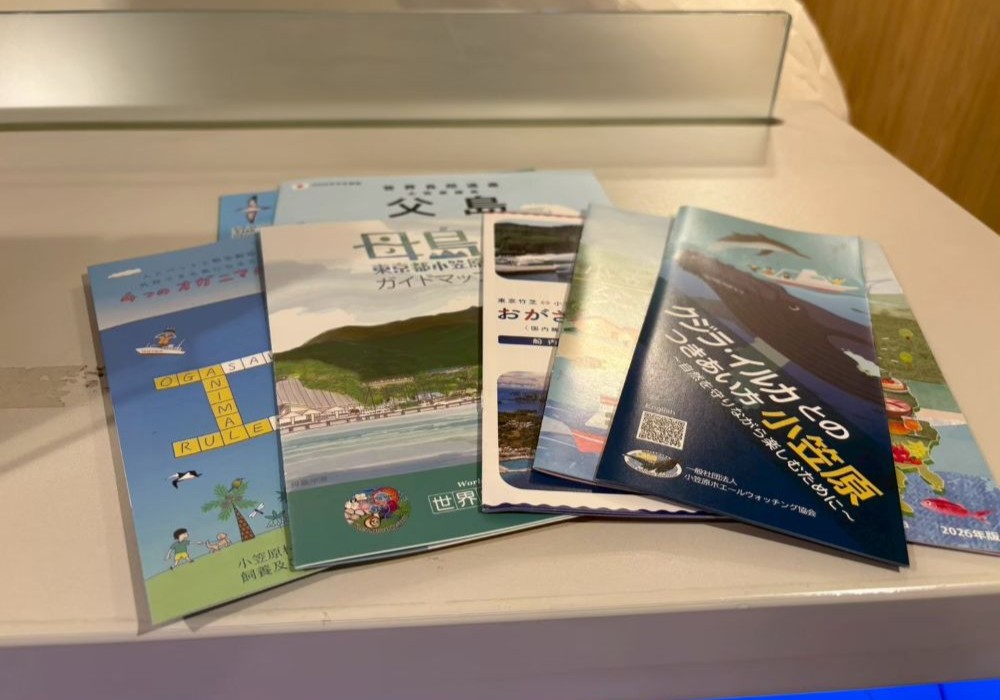 おがさわら丸船内 小笠原諸島のパンフレット