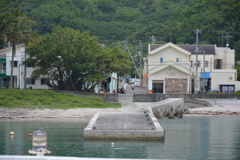 母島 集落の中心地