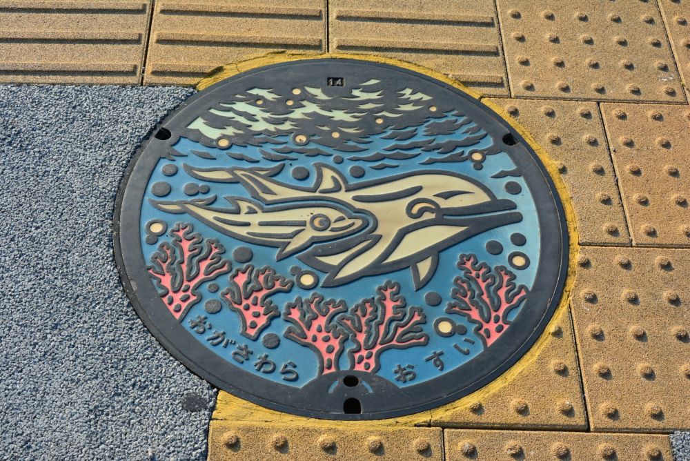 父島 イルカのマンホール