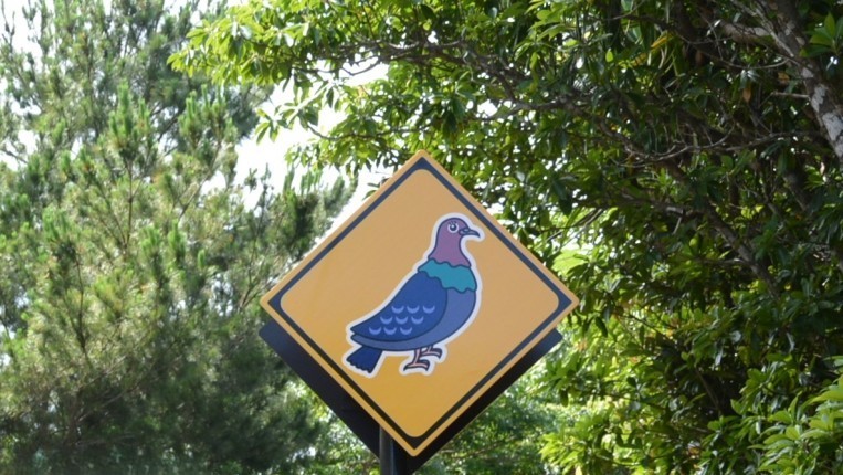 父島 道路標識 アカガシラカラスバト 右向き
