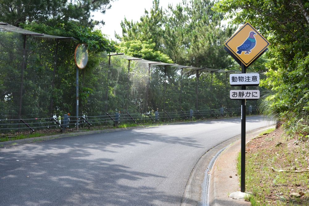 父島 道路標識 アカガシラカラスバト 右向き
