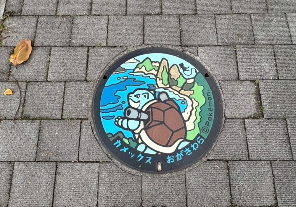 小笠原諸島 ポケふた カメックス