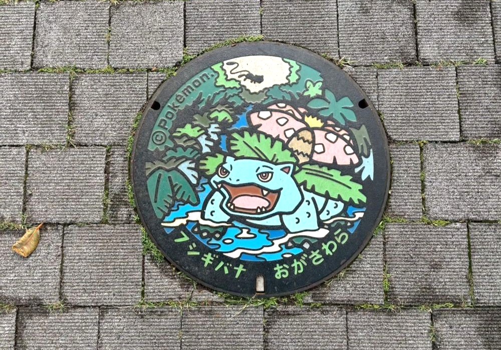 小笠原諸島 ポケふた フシギバナ