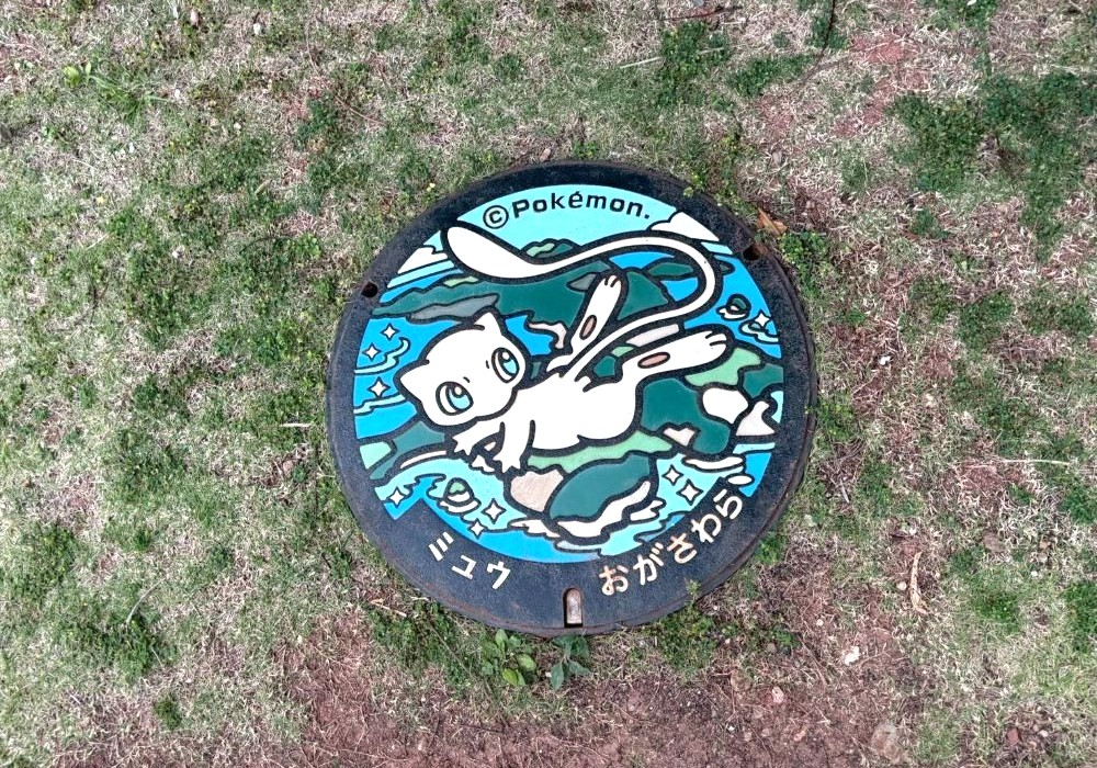 小笠原諸島 ポケふた ミュウ