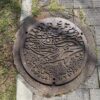 小笠原諸島 マンホール イルカ親子