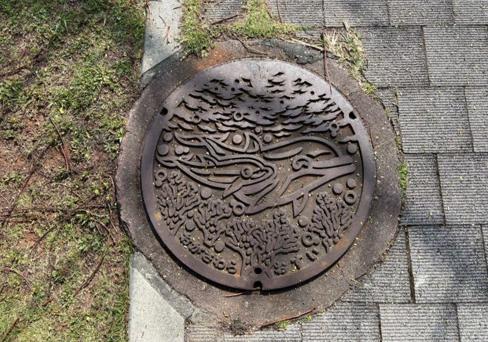 小笠原諸島 マンホール イルカ親子
