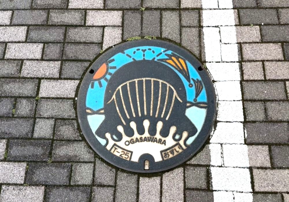 小笠原諸島 マンホールカードデザインふた