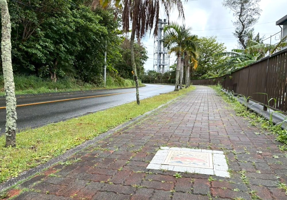 小笠原諸島 歩道のデザインタイル
