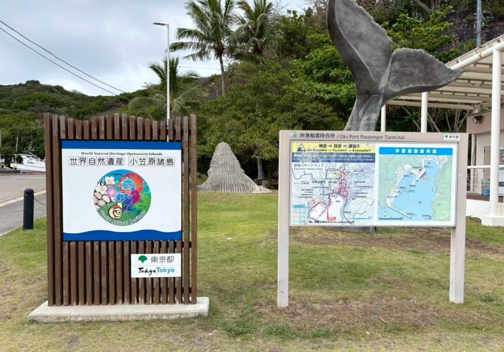 母島 沖港 世界自然遺産の看板