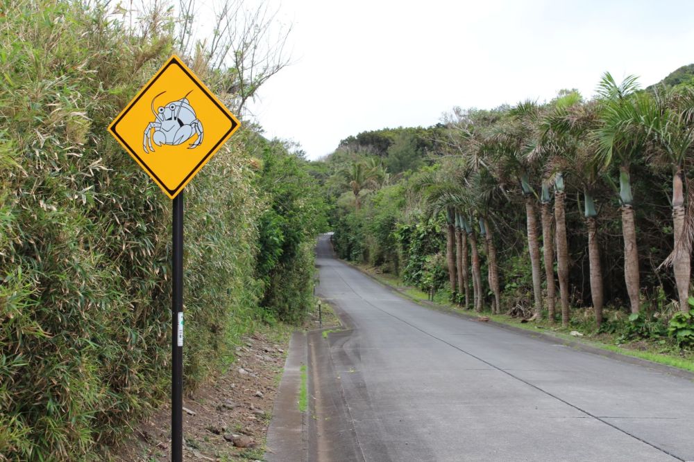 母島 道路標識 オカヤドカリ