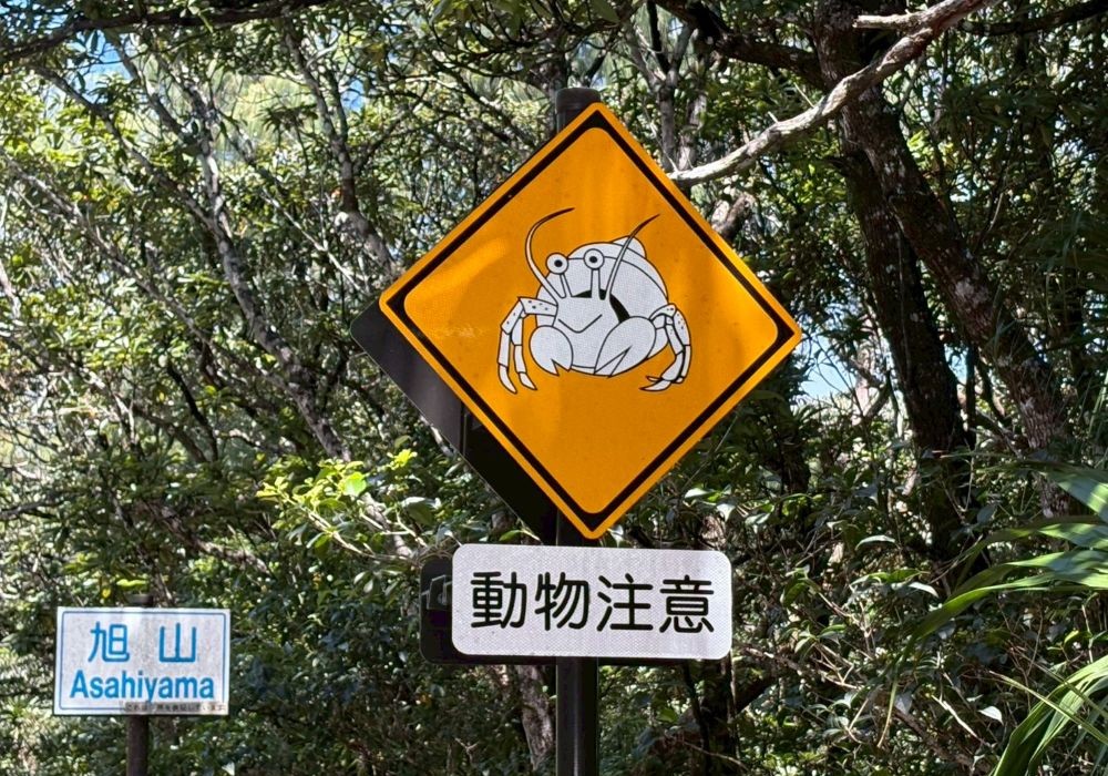 父島 オカヤドカリの道路標識