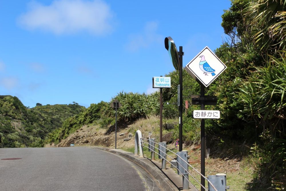 父島 道路標識 アカガシラカラスバト 夜明山