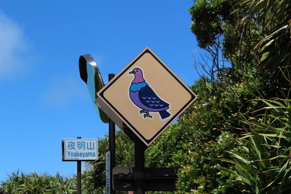 父島 道路標識 アカガシラカラスバト