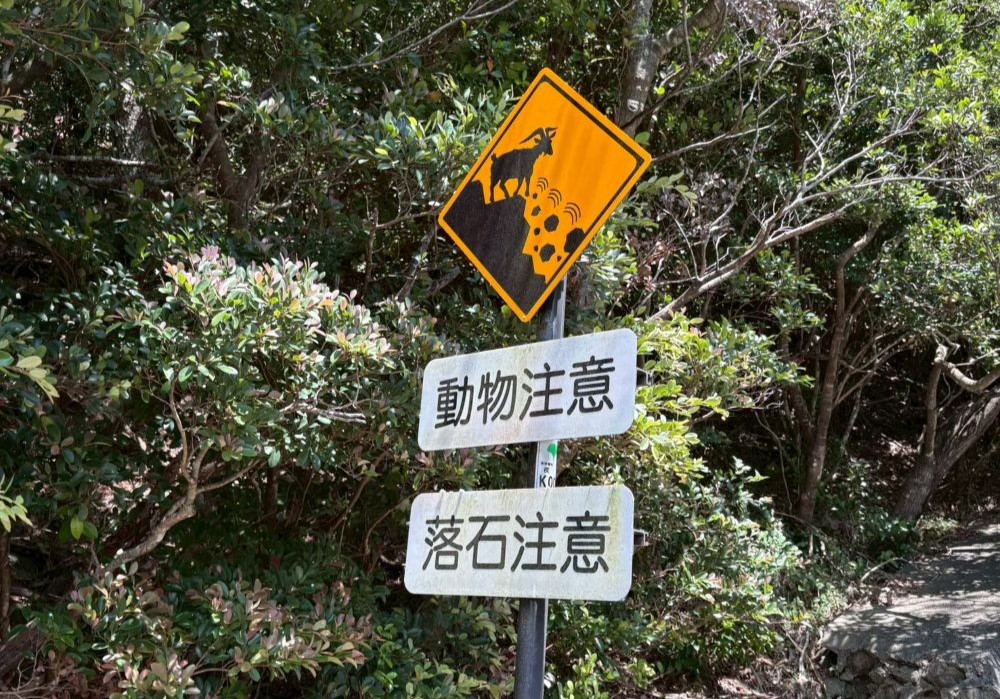 父島 道路標識 野ヤギ（崖の上）