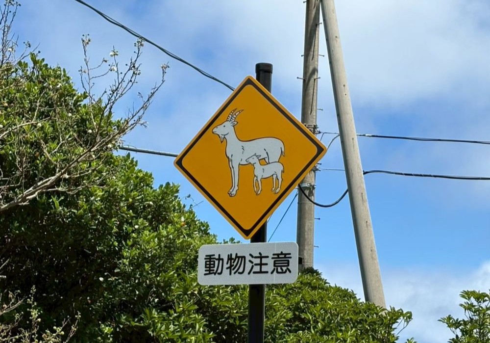 父島 道路標識 野ヤギ（親子）