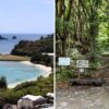 父島・母島どっち？大村海岸・石門