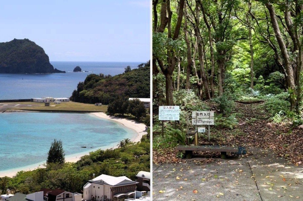 父島・母島どっち？大村海岸・石門