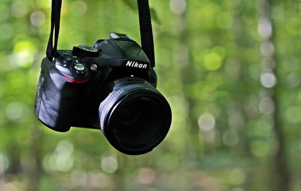 Nikon 一眼レフ 森